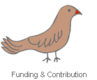 Funding & Contribution